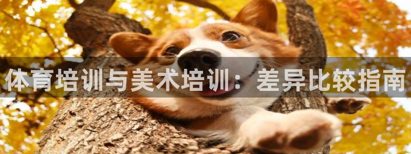 极悦娱乐官网app下载安装：体育培训与美术培训：差异