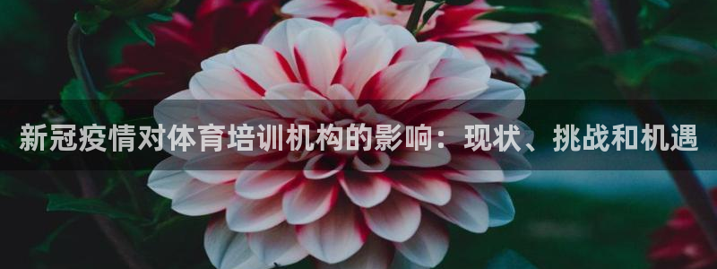 极悦平台基7O777：新冠疫情对体育培训机构的影响：