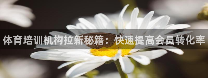 极悦平台官网入口：体育培训机构拉新秘籍：快速提高会员