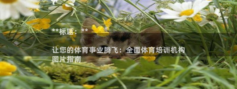 极悦平台登录7.0.2.4手机版下载安装：**标题：