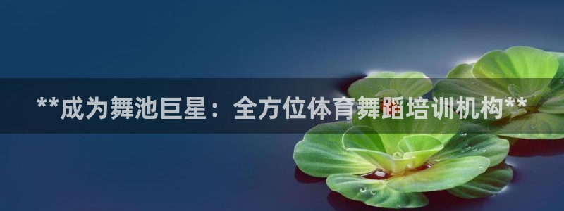 极悦平台非7O777：**成为舞池巨星：全方位体育舞