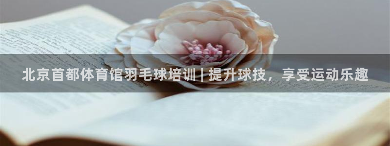 极悦娱乐游戏中心：北京首都体育馆羽毛球培训 | 提升