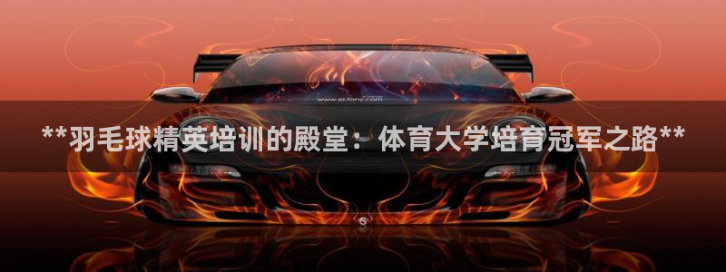 极悦娱乐官网最新版本更新内容下载：**羽毛球精英培训