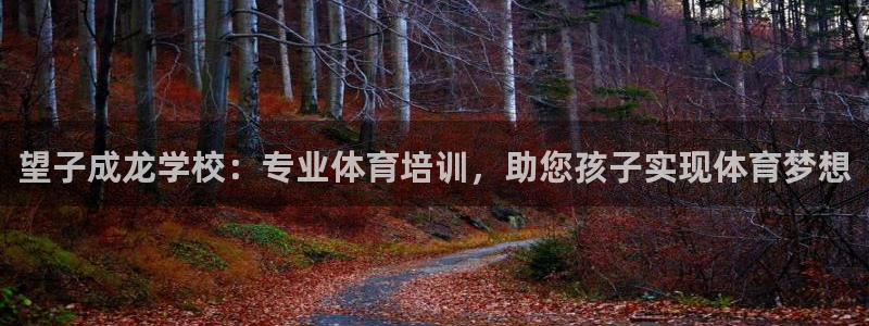 极悦平台用户评价与反馈在哪里：望子成龙学校：专业体育