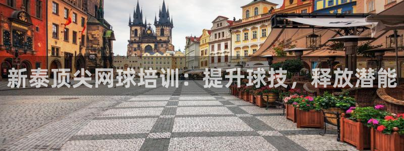 极悦娱乐官网入口网站：新泰顶尖网球培训：提升球技，释