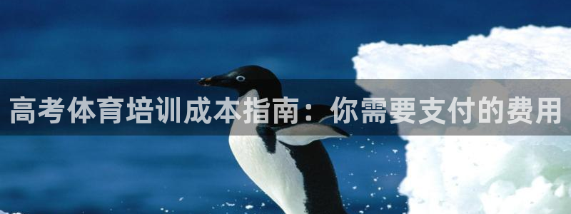 极悦平台城7O777：高考体育培训成本指南：你需要支