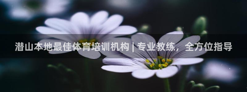 极悦平台app二维码怎么弄的：潜山本地最佳体育培训机