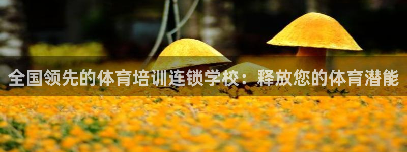 极悦平台官方网站首页：全国领先的体育培训连锁学校：释