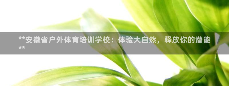 极悦平台注册失败如何解决：**安徽省户外体育培训学校