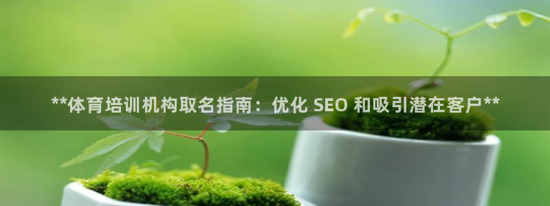 极悦娱乐官方网站入口：**体育培训机构取名指南：优化