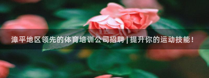 极悦平台官方网站：漳平地区领先的体育培训公司招聘 |