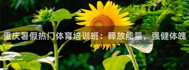 极悦娱乐的创始人背景故事：重庆暑假热门体育培训班：释