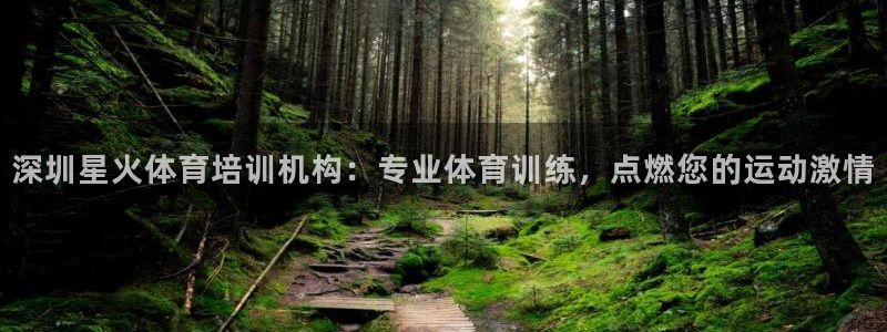 极悦注册：深圳星火体育培训机构：专业体育训练，点燃您