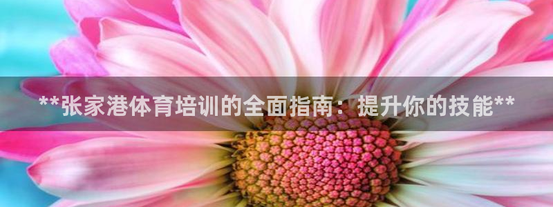 极悦娱乐：**张家港体育培训的全面指南：提升你的技能
