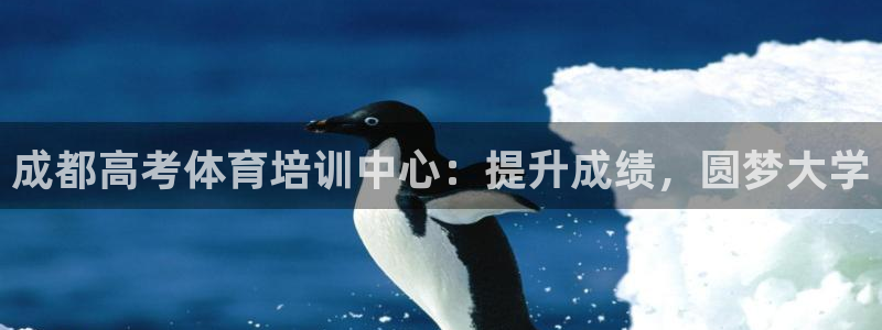 极悦平台注册登录入口官网：成都高考体育培训中心：提升