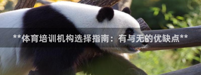 极悦娱乐app官方版本更新内容在哪：**体育培训机构