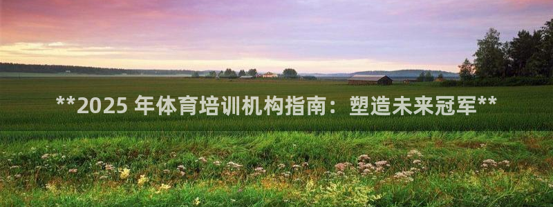 极悦平台注册登录入口：**2025 年体育培训机构指