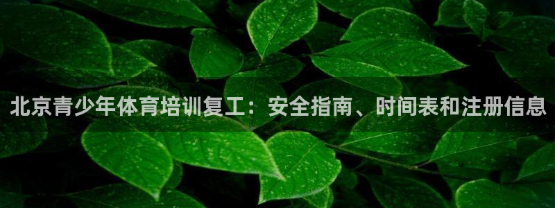 极悦平台注册失败如何解决：北京青少年体育培训复工：安