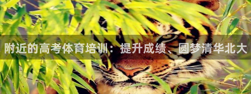 极悦平台客服投诉电话是多少号：附近的高考体育培训：提