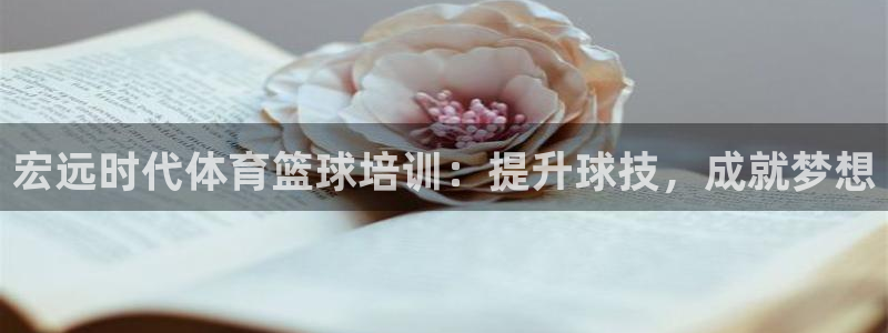 极悦平台注册用户名验证码是什么：宏远时代体育篮球培训