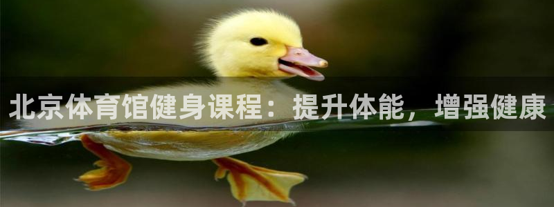 极悦平台官方网站首页：北京体育馆健身课程：提升体能，