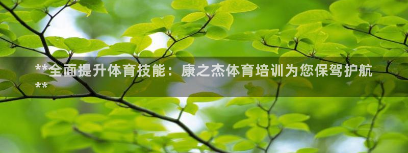 极悦平台代理怎么赚钱：**全面提升体育技能：康之杰体