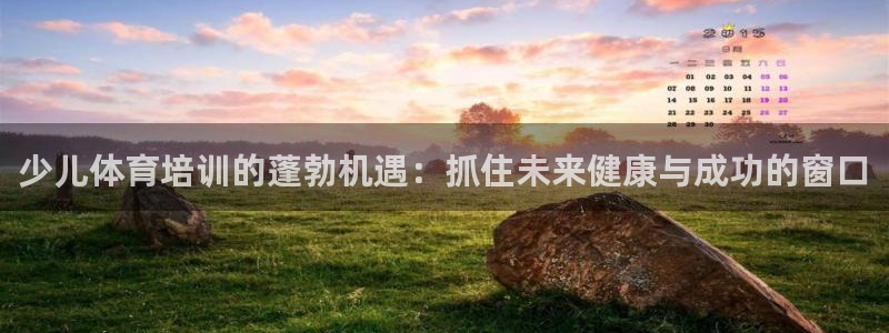 极悦平台有风险吗知乎：少儿体育培训的蓬勃机遇：抓住未