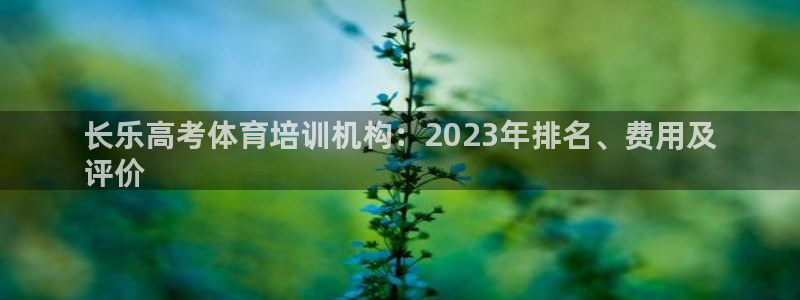 极悦平台注册官方网站下载手机版：长乐高考体育培训机构