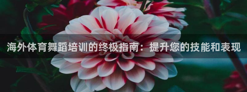 极悦官网旗舰店电话：海外体育舞蹈培训的终极指南：提升