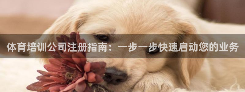 极悦官网旗舰店：体育培训公司注册指南：一步一步快速启