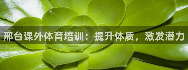 极悦平台客服的联系方式是：邢台课外体育培训：提升体质