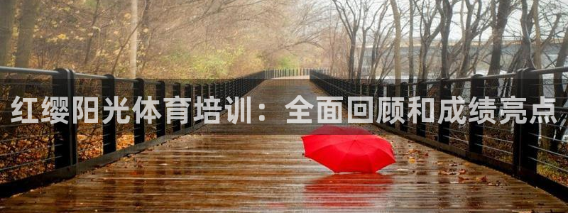 极悦娱乐股东结构：红缨阳光体育培训：全面回顾和成绩亮
