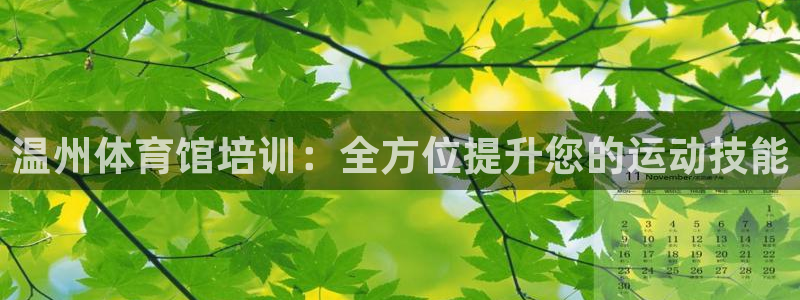 极悦平台代理：温州体育馆培训：全方位提升您的运动技能