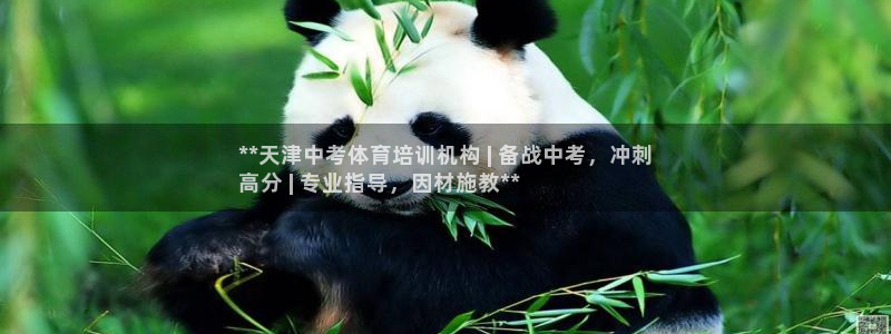极悦平台注册申请流程详解图：**天津中考体育培训机构