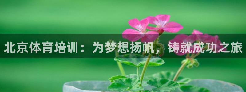 极悦平台是什么：北京体育培训：为梦想扬帆，铸就成功之