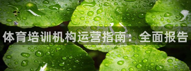极悦娱乐挂机赚钱是真的吗吗：体育培训机构运营指南：全