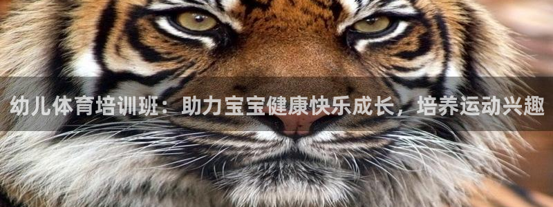 极悦平台官网登录入口网址是多少：幼儿体育培训班：助力