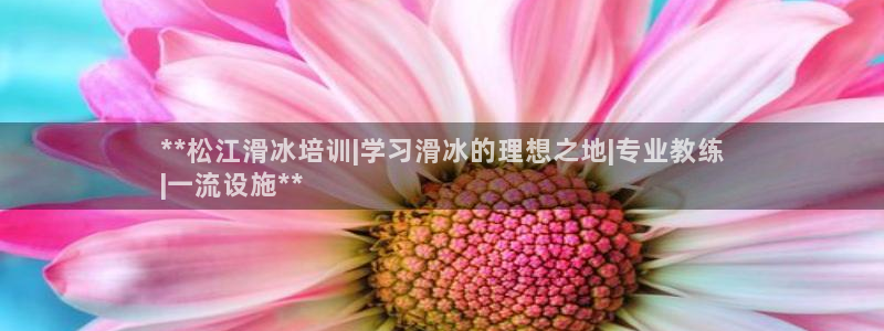 深圳极悦文化传媒有限公司：**松江滑冰培训|学习滑冰