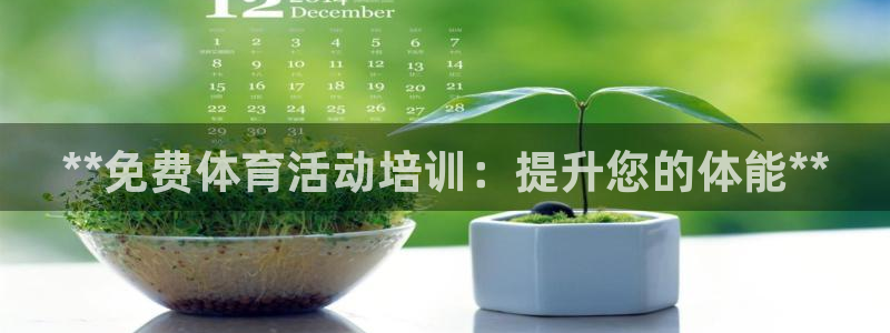 极悦平台注册：**免费体育活动培训：提升您的体能**