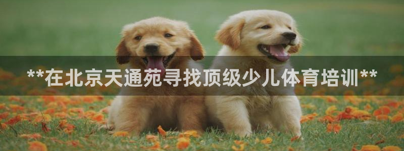 极悦平台登录最新版本更新内容：**在北京天通苑寻找顶