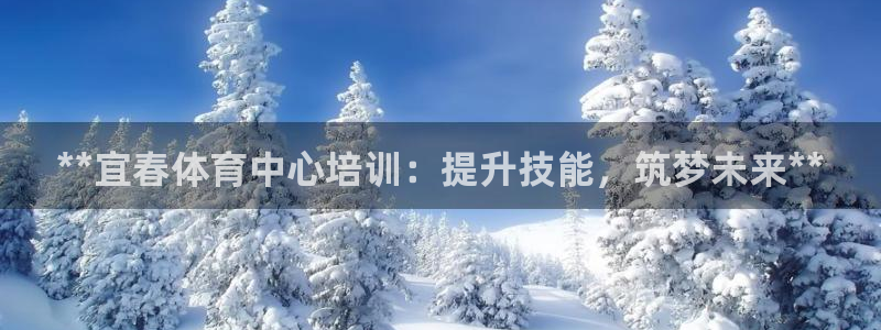 极悦官方网站app下载软件：**宜春体育中心培训：提