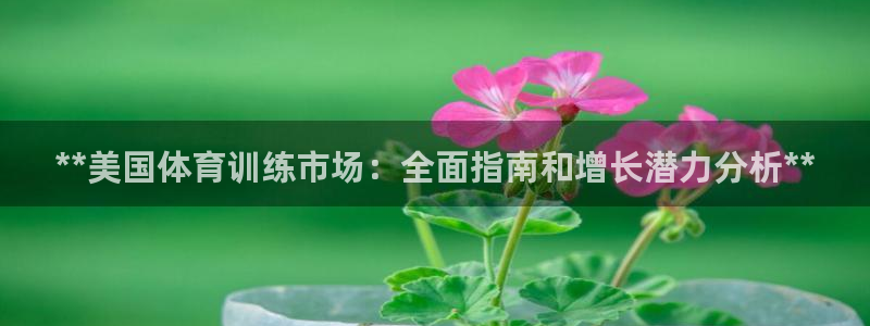 极悦平台注册官方网站下载手机版：**美国体育训练市场