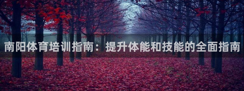 极悦平台股东有哪些：南阳体育培训指南：提升体能和技能