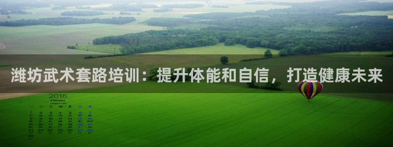 极悦平台官方网站首页：潍坊武术套路培训：提升体能和自