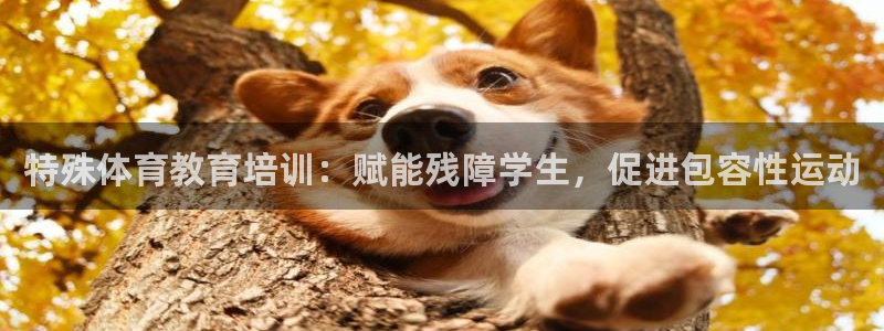 极悦平台和蓝狮平台区别大吗：特殊体育教育培训：赋能残