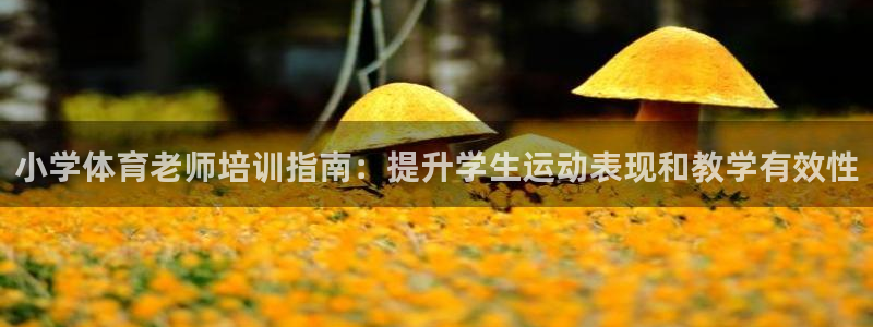 极悦平台用户评价与反馈：小学体育老师培训指南：提升学