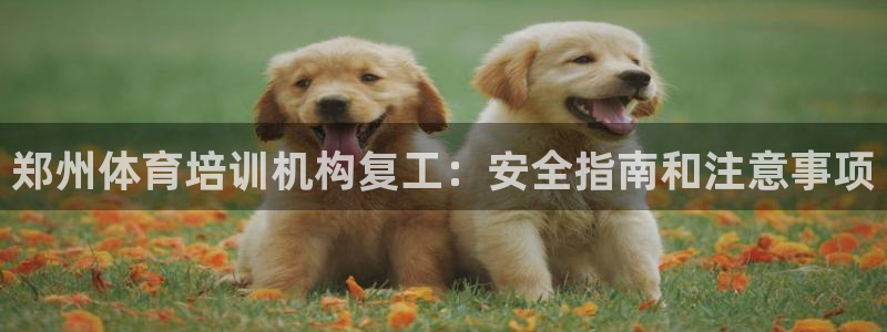 极悦平台安全吗是真的吗：郑州体育培训机构复工：安全指