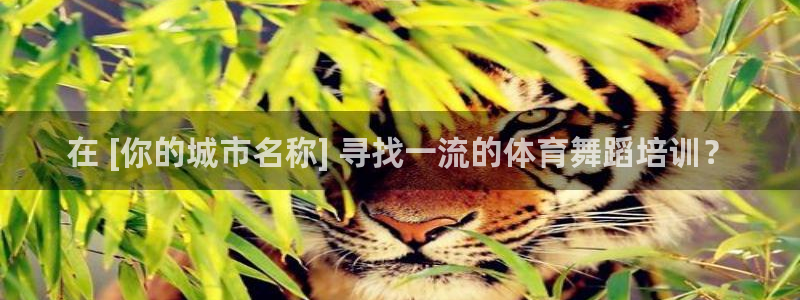 极悦平台官方网址是什么：在 [你的城市名称] 寻找一