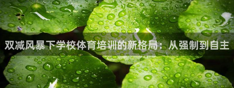 极悦平台登录不进去怎么回事：双减风暴下学校体育培训的