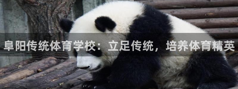 极悦官网旗舰店地址：阜阳传统体育学校：立足传统，培养